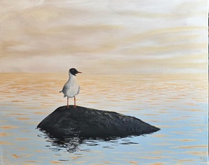 Öl auf Leinwand : Die Lachmöwe , 40 cm x 50 cm , Preis auf Anfrage .