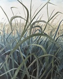 Öl auf Leinwand : Pellwormer Dschungel , 30 cm x 24 cm , Preis auf Anfrage . 
