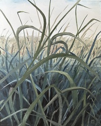 Öl auf Leinwand : Pellwormer Dschungel , 30 cm x 24 cm , Preis auf Anfrage . 