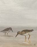 Öl auf Leinwand : Rotschenkel und Knutts , 30 cm x 24 cm , Preis auf Anfrage .