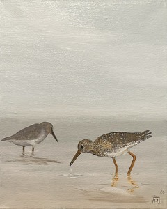 Öl auf Leinwand : Rotschenkel und Knutts , 30 cm x 24 cm , Preis auf Anfrage .