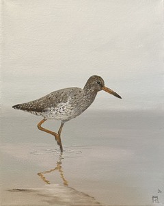 Öl auf Leinwand : Rotschenkel , 30 cm x 24 cm , Preis auf Anfrage .