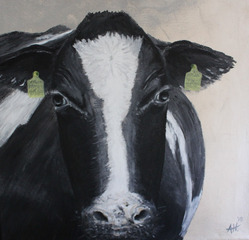 Öl auf Leinwand: Kuh Paida . Größe: 35 cm x 35 cm. Verkauft.